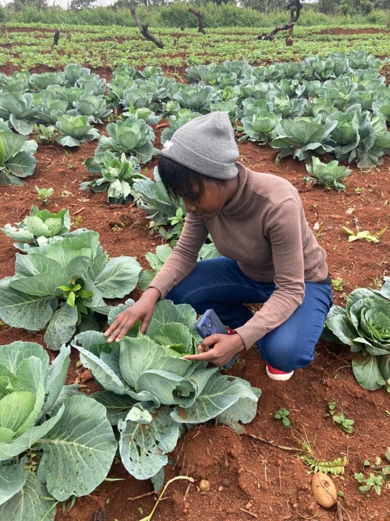 whatsapp image 2026 01 30 at 15.47.32 (1)