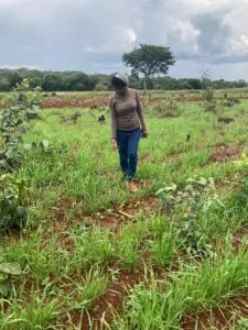 whatsapp image 2026 01 30 at 15.47.32