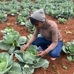 whatsapp image 2026 01 30 at 15.47.32 (1)